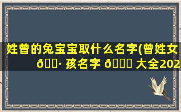 姓曾的兔宝宝取什么名字(曾姓女 🌷 孩名字 🐈 大全2023年)